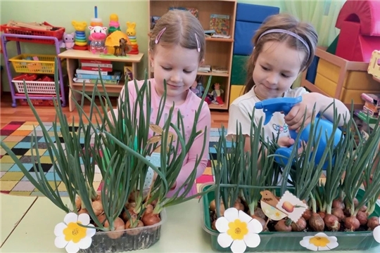 Поливаем мы лучок