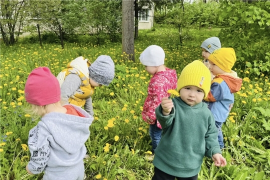 Золотое море радости. Малыши на одуванчиковом поле!