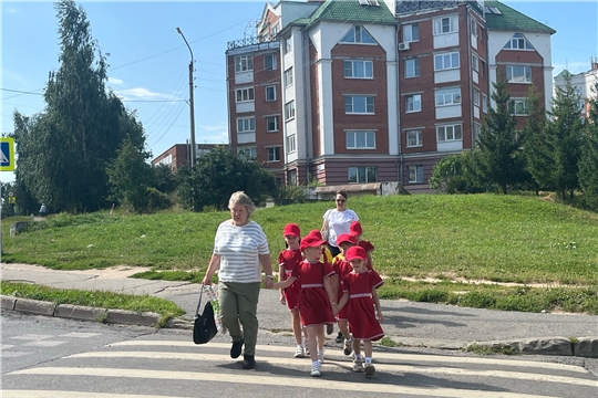 "Зебра" - помощник на дороге...