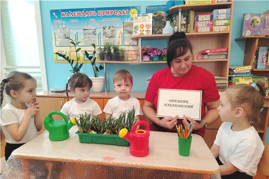 Зелёный лук — полезный урожай для детей!
