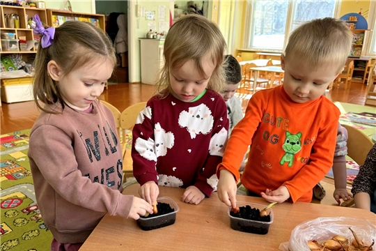 В детском саду успешно реализуется исследовательский проект «Огород на подоконнике»