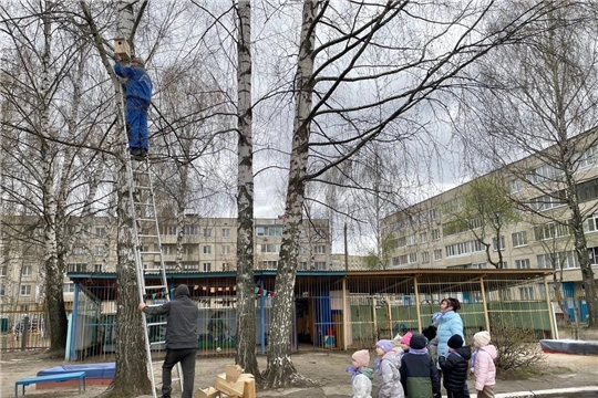 Орлята из группы "Краски радуги" смастерили скворечник для пернатых друзей!