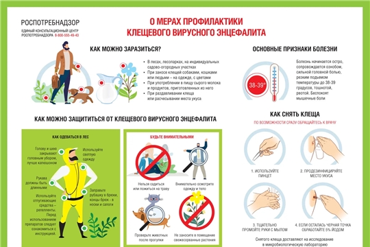 Управление Роспотребнадзора по Чувашской Республике — Чувашии проводит горячую линию по вопросам профилактики клещевого энцефалита