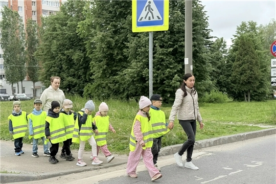 Дорожная безопасность