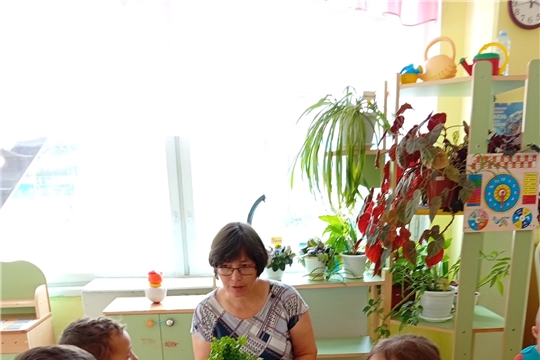 «Зелёный стол: свежая зелень и овощи -  герои летнего меню»