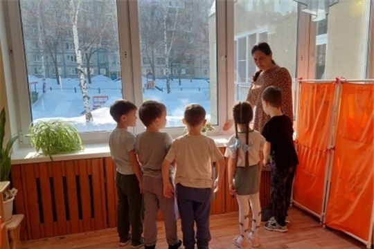 Безопасные окна