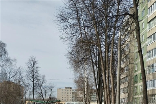 Помогаем снегу таять