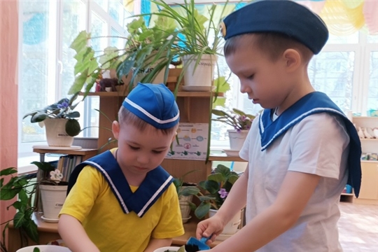 Цветок ветерану