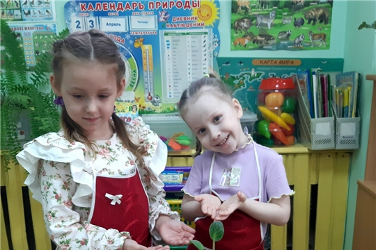 Цветок ветерану