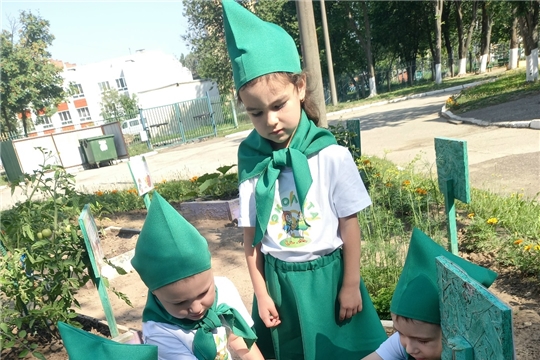 Эколята дошколята