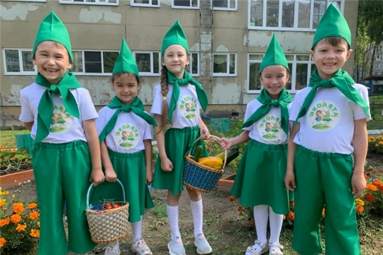 Сбор урожая