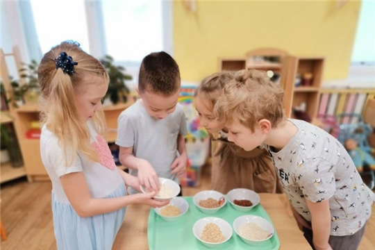 Знакомим детей с разными видами круп