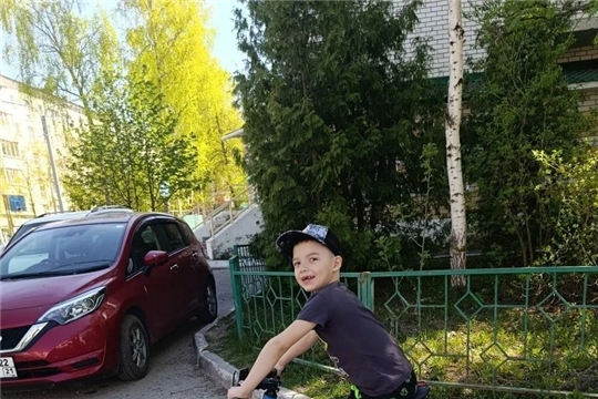 Правила безопасной езды
