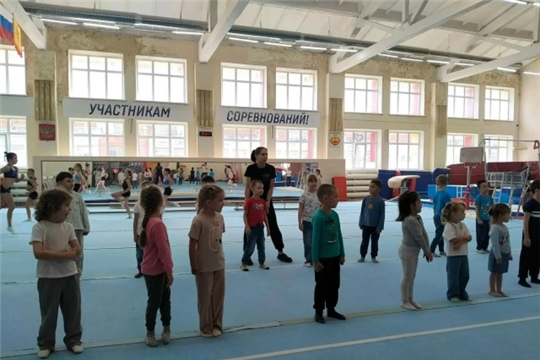 Знакомство с основами спортивной гимнастики.