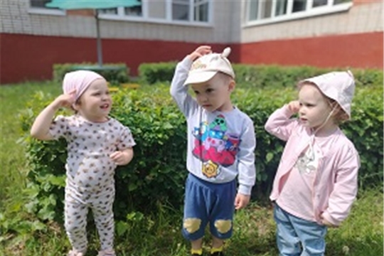 О пользе панамы