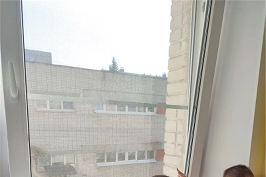 Открытое окно — открытая опасность