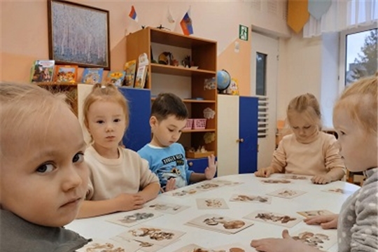 Осенние грибы и ягоды
