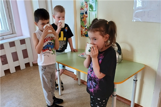 Питьевой режим