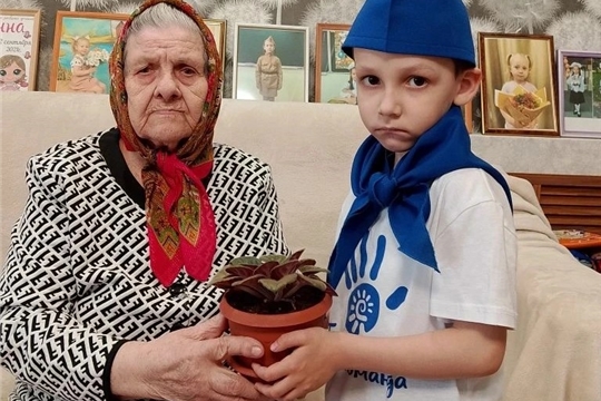 Цветок ветерану