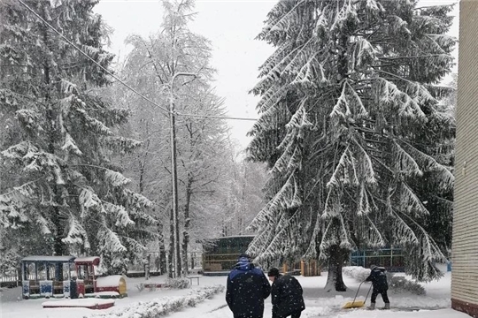 Весенний сюрприз