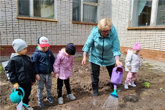 Юные огородники: первые шаги в мир природы