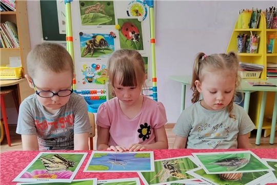 Весенние насекомые: правила безопасного знакомства