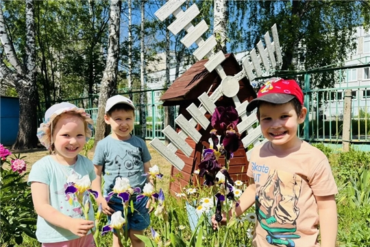 Яркие краски лета: природа учит и вдохновляет
