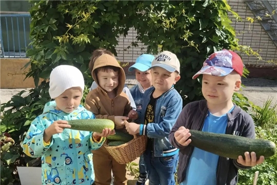 Собираем урожай