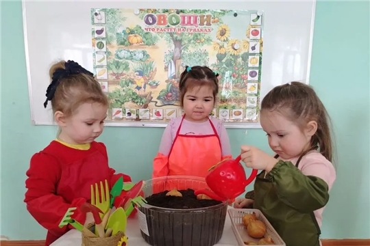 Малыши взялись за дело!
