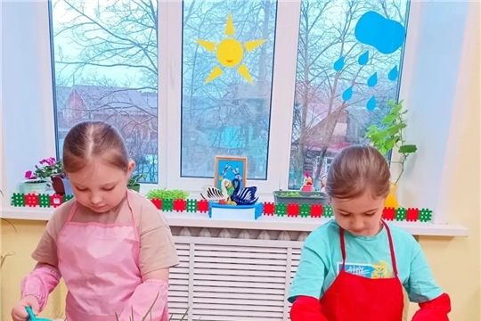 Первые всходы, первые открытия...