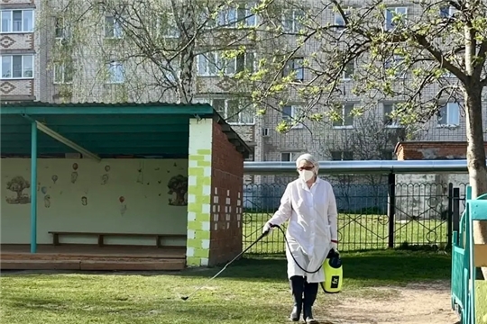 Прогулки под контролем: защитим детей от клещей!
