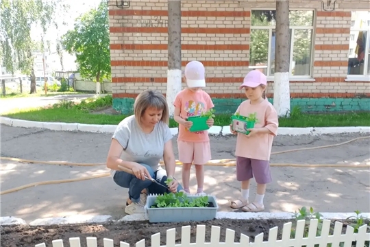  Весенние заботы в группе «Солнышко»: вместе делаем мир красивее!