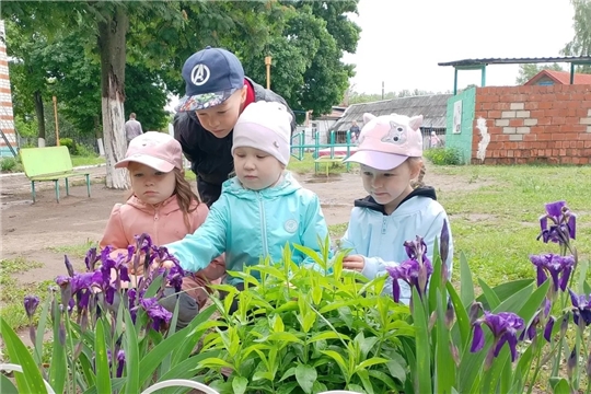 Учимся замечать прекрасное!