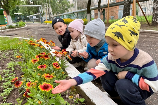 Экологическая экскурсия «солнышек».
