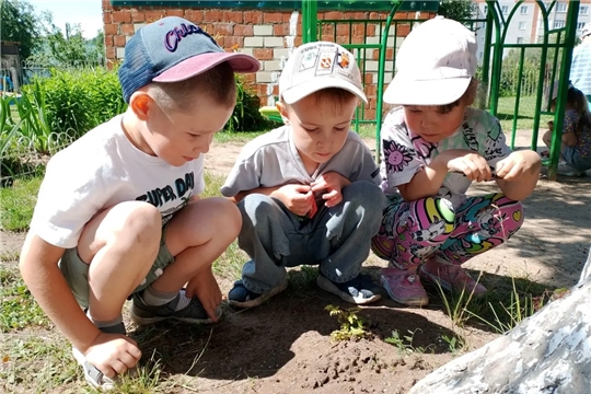 Тайны муравьиного царства!