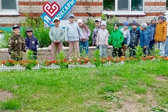 Сизые гости и их секреты...