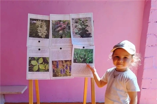 Знакомство с опасными растениями.