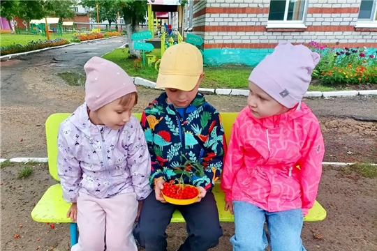 Как мы открыли лесного доктора...