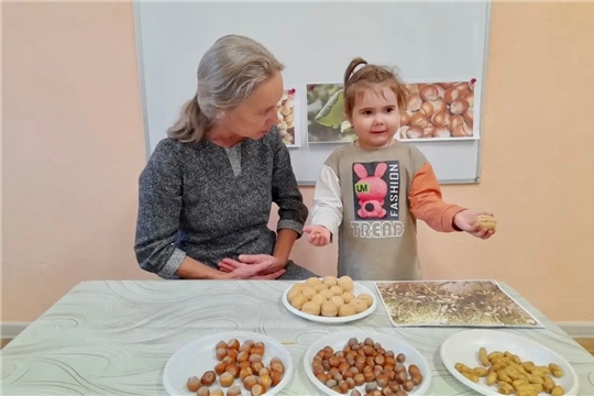 Ореховая история: полезное занятие в «Почемучках».