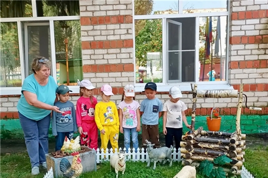 В мире животных.