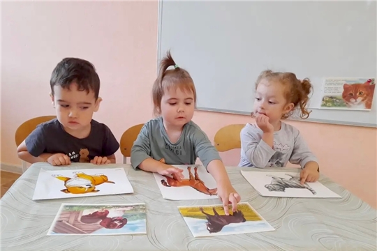 Живой мир на ладошке: кто есть кто?