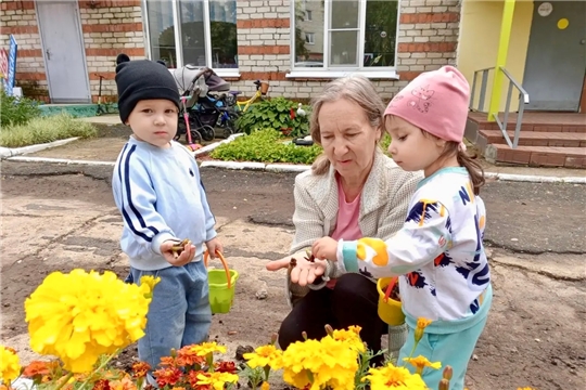 Осенняя операция «Бархатцы»...