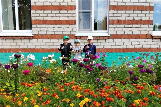 Осенние красоточки.