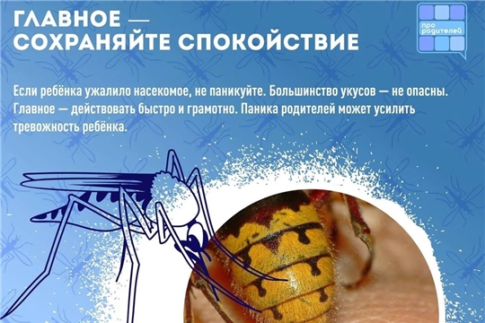 Укус насекомого: что нужно знать каждому родителю