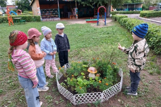 Осторожно: грибы и растения на участке детского сада
