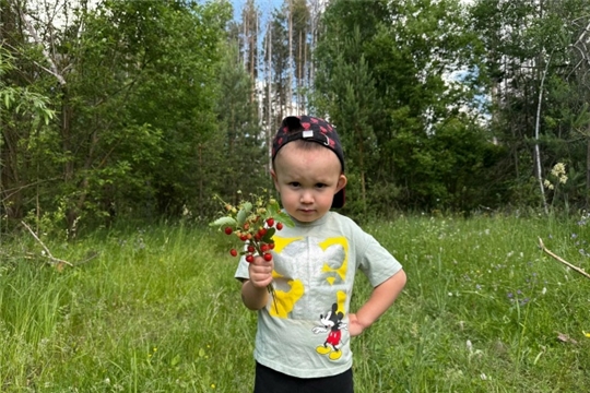 Польза ягод