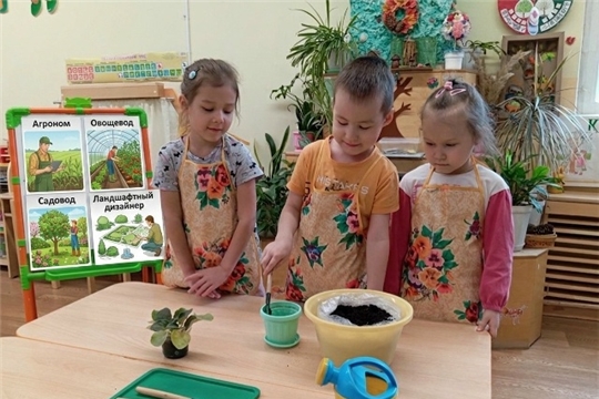 «Профессионалитет — детский сад»