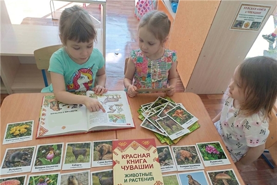 Муниципальный проект"Чувашский край: люби и знай".