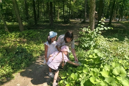 "По родному краю с рюкзаком шагаю"