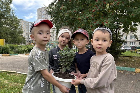 "Профессионалитет — детский сад"
